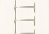 20 Foot Ladder for any Size Wall [IV]