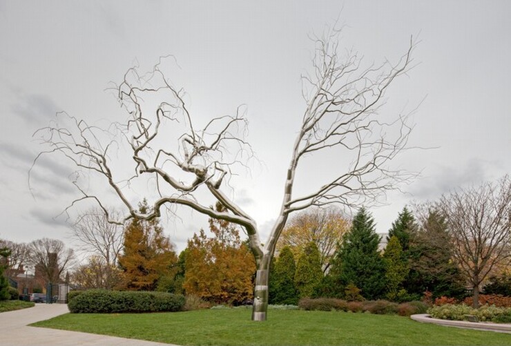 This horizontal photograph shows the twisting branches of a shiny silver tree, the sculpture rising high above the treetops of the living trees behind it. The trunk breaks into two sets of branches about a fifth of the way up the height of the sculpture. The branches to our left in this photograph curve and wind up and out while the branches to our right flare up in straighter lines. Diffused sunlight on the overcast day glints off the metal, creating bright white highlights against steel-gray shadows. The sculpture sits on a patch of grass with bushes and trees behind it.