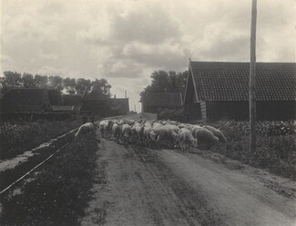 image: Going to Pasture
