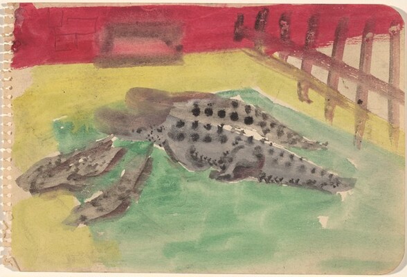 Alligators in a Pool