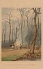 Spring--Burning Fallen Trees in a Girdled Clearing. Western Scene