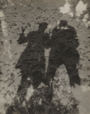 image: Shadows in Lake