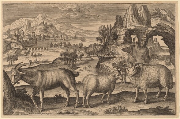 A Goat, a Ewe, and a Ram