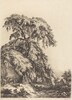 Juniper Tree