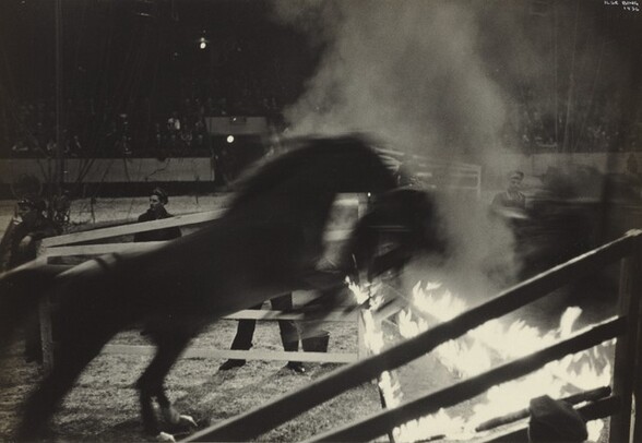 Horse Act, Circus, New York