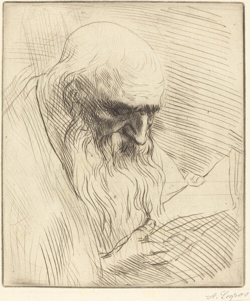 Study of the Head of a Man Reading (Etude de tete d