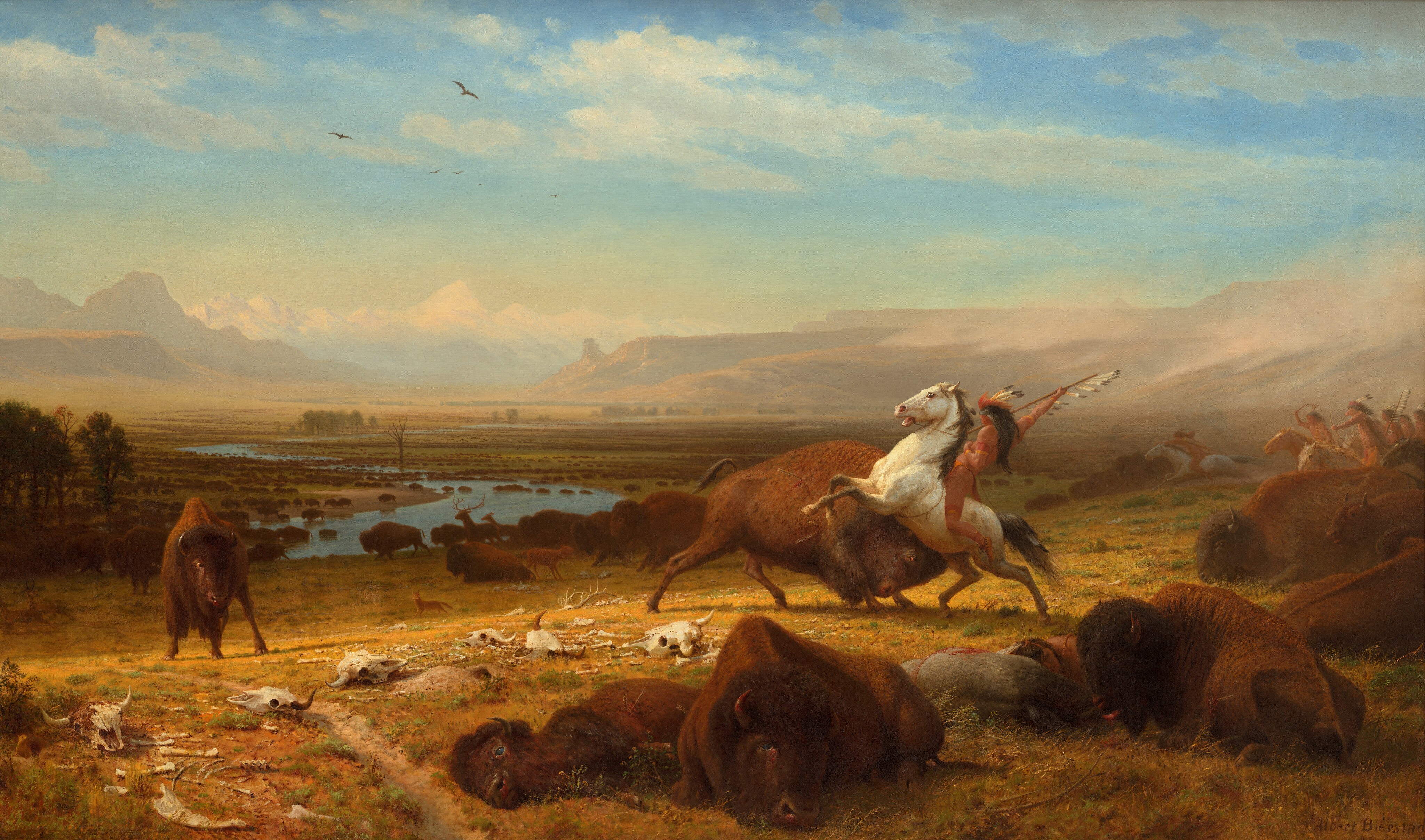Buffalo painting sales