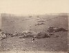 A Harvest of Death, Gettysburg, Pennsylvania