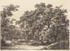 Oaks