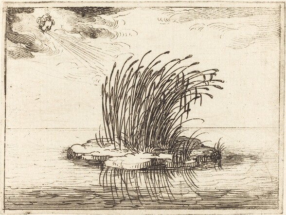 The Reeds and the Wind
