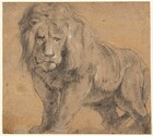Drawn with black chalk with white highlights on beige paper, a male lion with a full, wavy mane looks out toward us on this nearly square drawing. He stands with his body angled so his rump is farther away, to our right, but his head faces us, his eyes looking slightly off to our right. His front paws are together and his back feet slightly separated with his tail curled loosely down between his legs. The bottoms of the lion’s feet are cropped by the edge of the paper. His mane touches the top edge and his haunches nearly reach the right edge of the paper, so he fills the sheet. White chalk highlights the lion’s left eye, nose, and closed lips. A few other touches of white appear on his mane and his left shoulder, on our right.