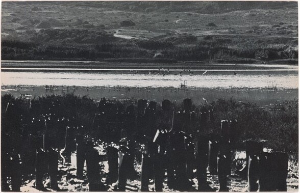 100 Boots in the Marsh. San Elijo Lagoon, California. October 8, 1971, 8:00 a.m.