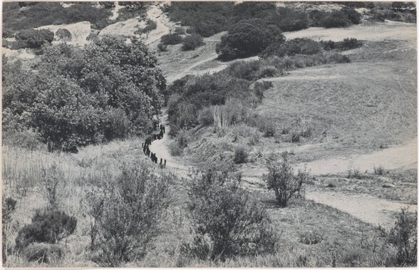 100 Boots Taking the Hill (1). Lomas Santa Fe, California. June 13, 1972, 2:00 p.m.