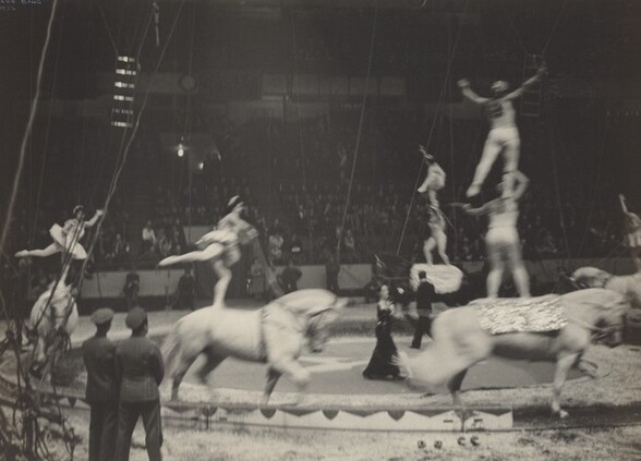 Equestrians, Circus, New York