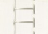 20 Foot Ladder for any Size Wall [VI]