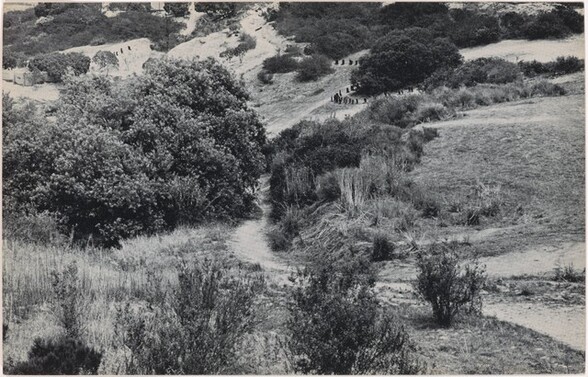 100 Boots Taking the Hill (2). Lomas Santa Fe, California. June 13, 1972, 2:20 p.m.
