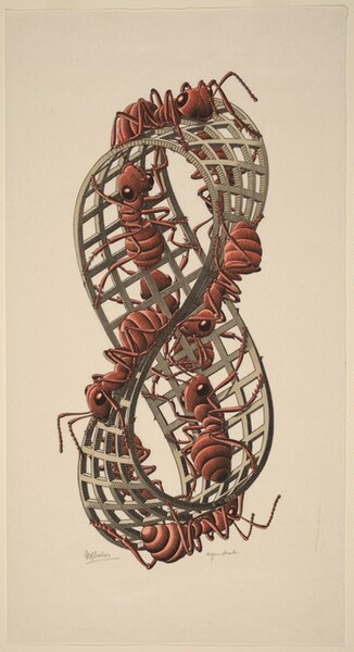 Eight brick-red ants crawl along a three-dimensional figure eight in this vertical woodblock print. The figure eight is a mobius strip, which can be created when connecting the ends of a strip after having twisted one end halfway around. The mobius fills most of the height of the composition, and seems to be made from a strip of peanut-brown, trellis-like material. The ants crawl along both sides of the mobius strip, which creates an infinite surface because of the way it twists on itself. The shape and ants are set against a cream-colored background. The front edge of the bottom loop is inscribed with “II ’63 MCE” in miniscule lettering. The artist signed the paper under the image near the lower left corner, “MCEscher,” and inscribed “eigendruk” under the lower right.