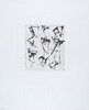 Untitled 4