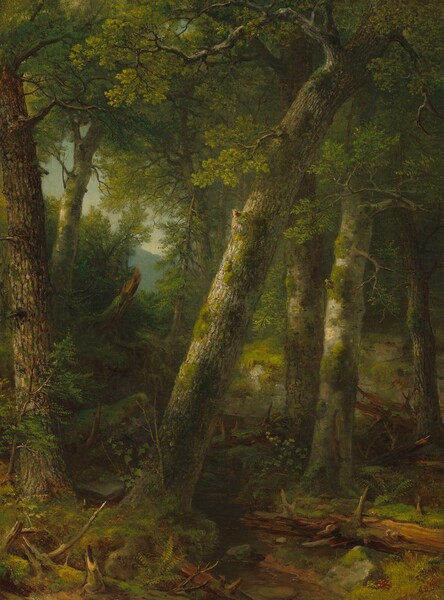 Cool light filters through a thick, verdant forest in this vertical landscape painting. Most of the trees have high canopies with celery, matcha, and olive-green leaves. Moss carpets the trunks of five trees looming over us from across a narrow brook. Dead, sienna-brown tree limbs with sharp, broken branches lie scattered in the dense vegetation on the forest floor. The trees and undergrowth recede into the distance where a gap reveals a glimpse of a blue-gray mountain silhouetted against a milky sky. The artist signed the lower right, “ABD.”