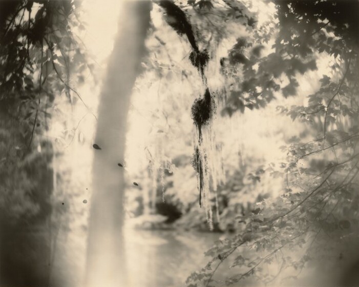 Sally Mann, Deep South, Untitled (Three Drips), 1998