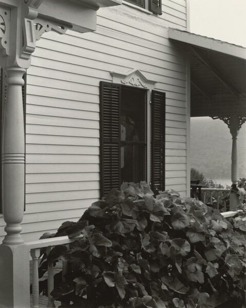 House And Grape Leaves
