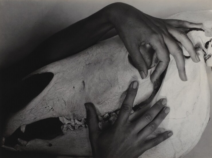 Georgia O Keeffe Hands And Horse Skull