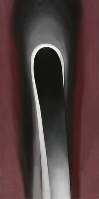 Jack In The Pulpit No Vi